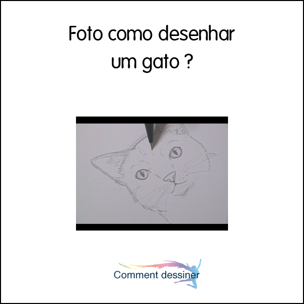 Foto como desenhar um gato